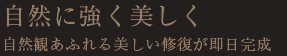 自然に強く美しく 自然観あふれる美しい修復が即日完成 自然に強く美しく 自然観あふれる美しい修復が即日完成