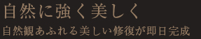 自然に強く美しく 自然観あふれる美しい修復が即日完成