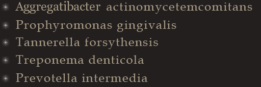 Aggregibacter actinomycetemcomitans  Prophyromonas gingivalis  Tannerella forsythensis  Treponema denticola  Prevotella intermedia